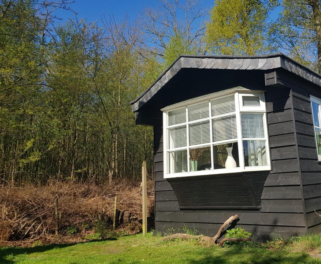 Chalet 2 Pers Met Hottub - Aan De Bosrand - Ijsselmeer - Gaasterland - Bos Rijs Екстериор снимка